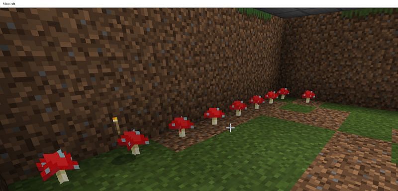  Как выращивать грибы в Minecraft6 
